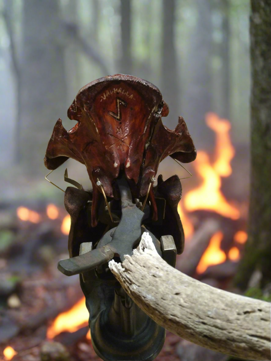 Fryers Boar